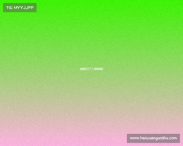 重庆赛事2017,重庆赛事活动